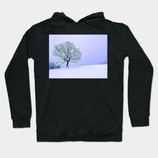 Lone Maple Hoodie